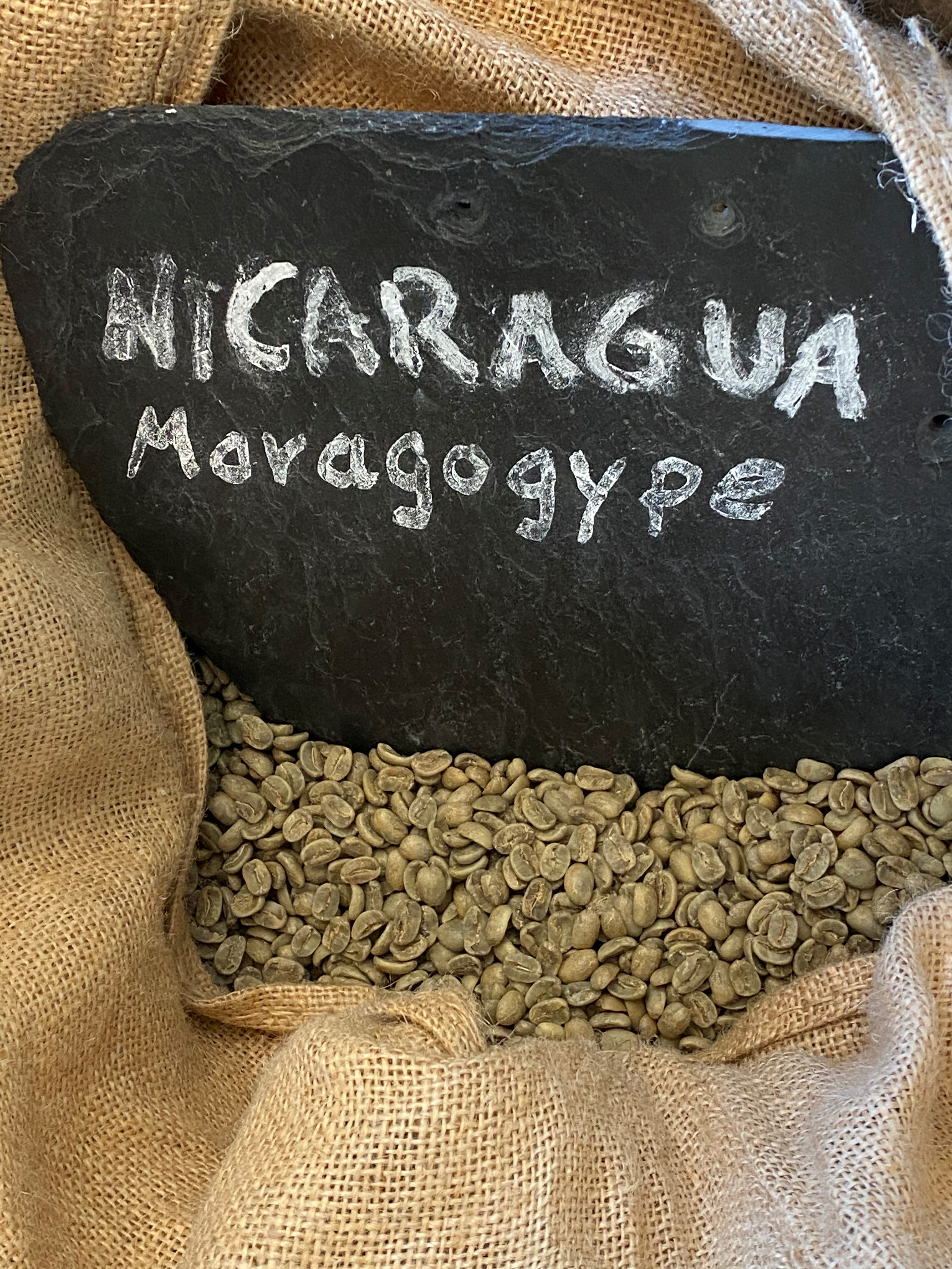 Nicaragua SHG Maragogype