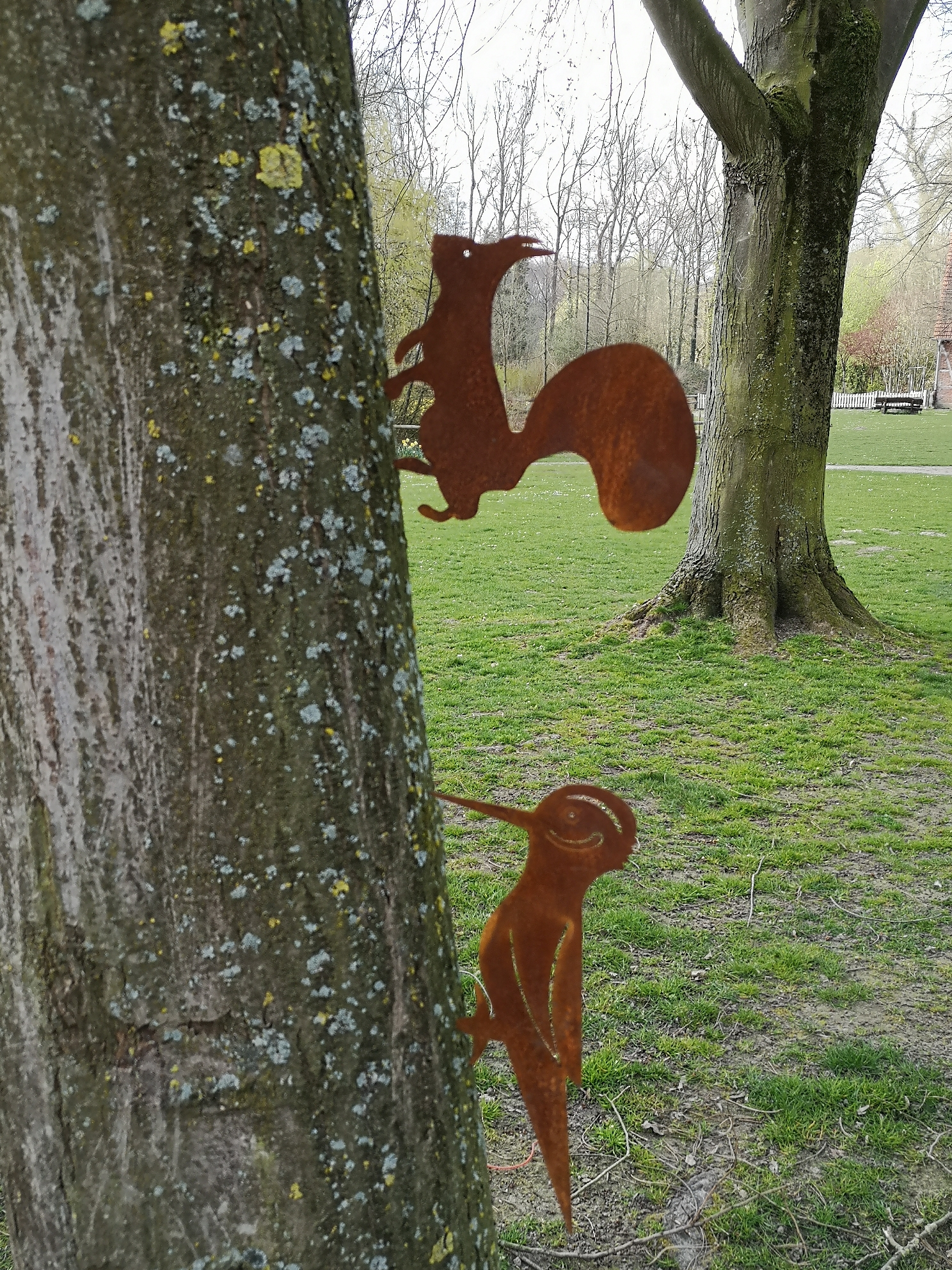 Rost Eichhörnchen